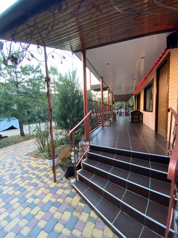 זאטוקה Villa Sosnovy Bor מראה חיצוני תמונה