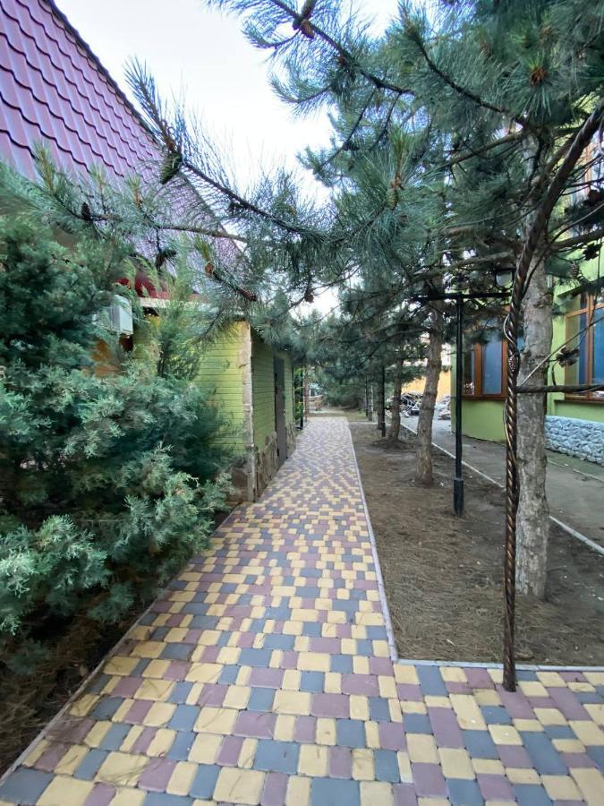 זאטוקה Villa Sosnovy Bor מראה חיצוני תמונה