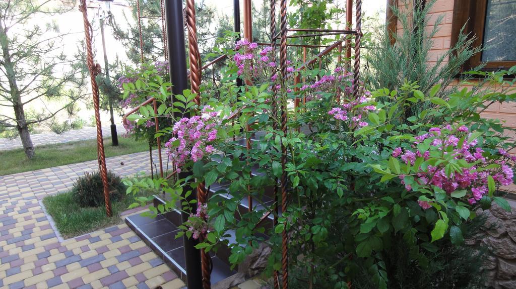 זאטוקה Villa Sosnovy Bor מראה חיצוני תמונה