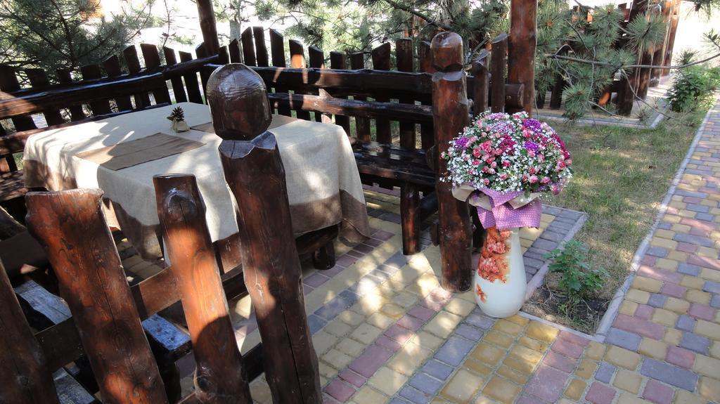 זאטוקה Villa Sosnovy Bor מראה חיצוני תמונה