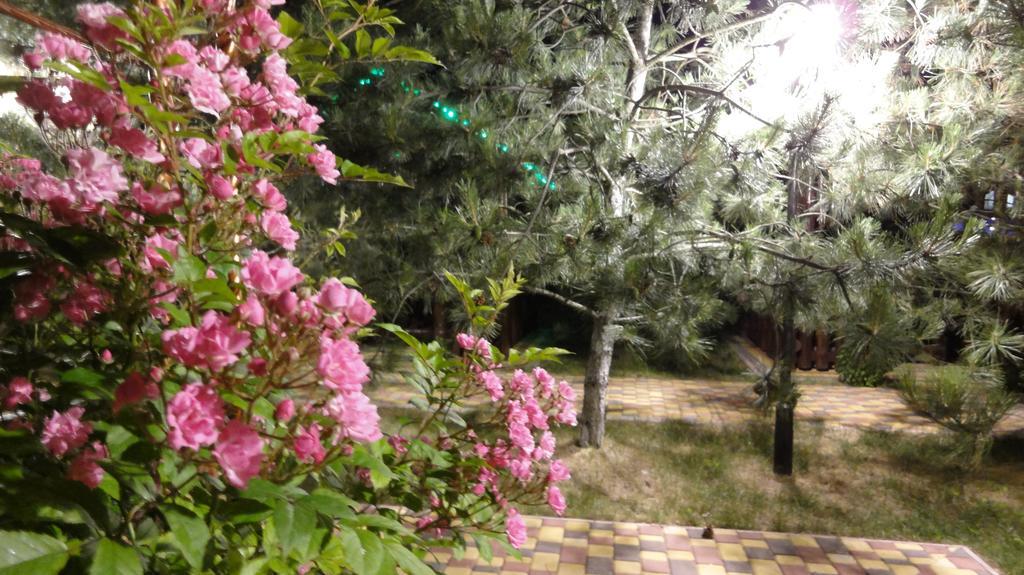 זאטוקה Villa Sosnovy Bor מראה חיצוני תמונה
