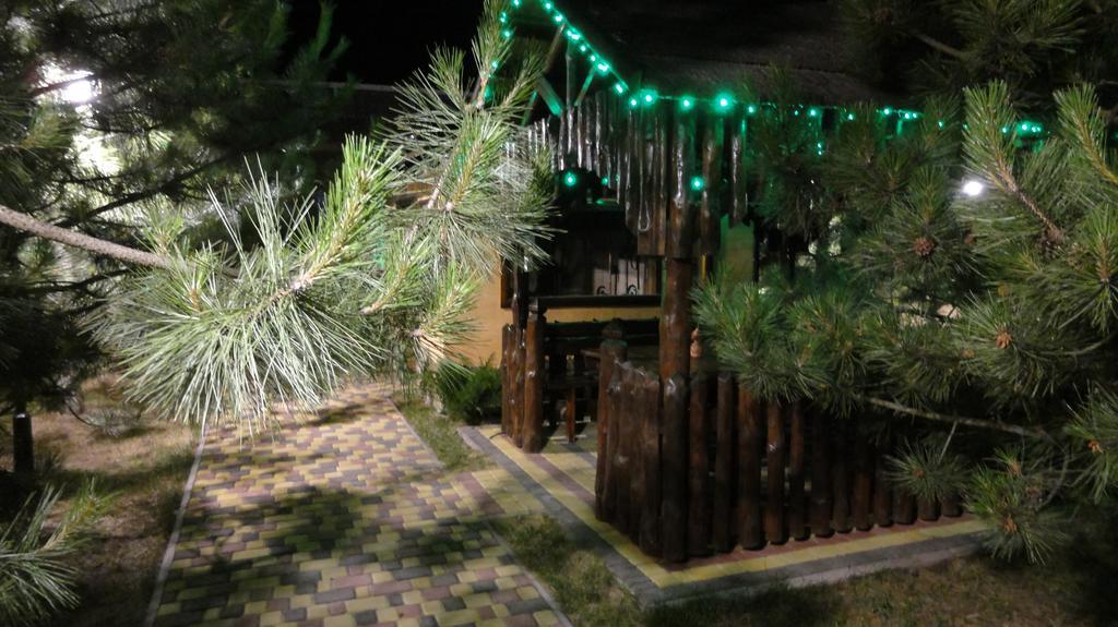 זאטוקה Villa Sosnovy Bor מראה חיצוני תמונה