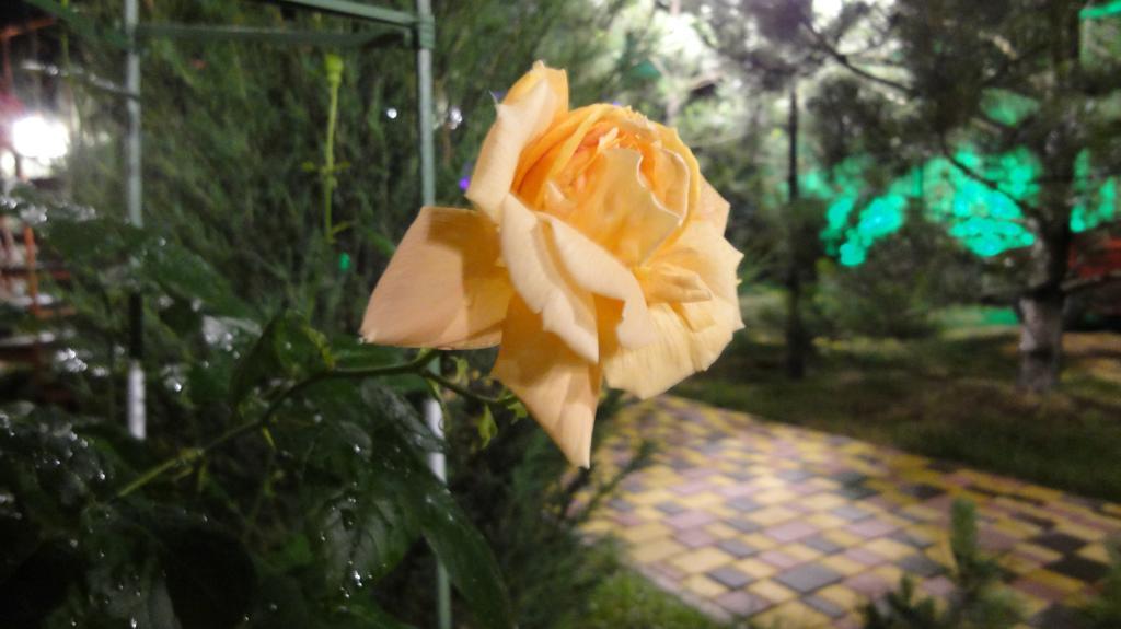זאטוקה Villa Sosnovy Bor מראה חיצוני תמונה