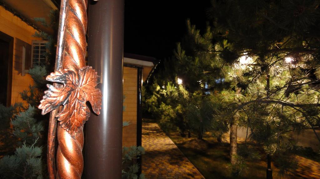 זאטוקה Villa Sosnovy Bor מראה חיצוני תמונה